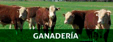 Ganaderia - Agroambientes